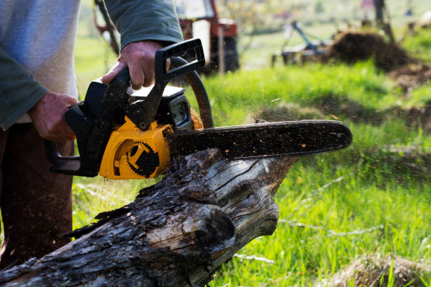 Best Aeration Services  in Bodfish, CA
